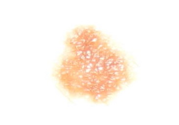 IMG_2212.JPG IMG_2212.JPG