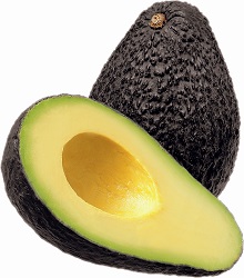 avocado (1).jpg