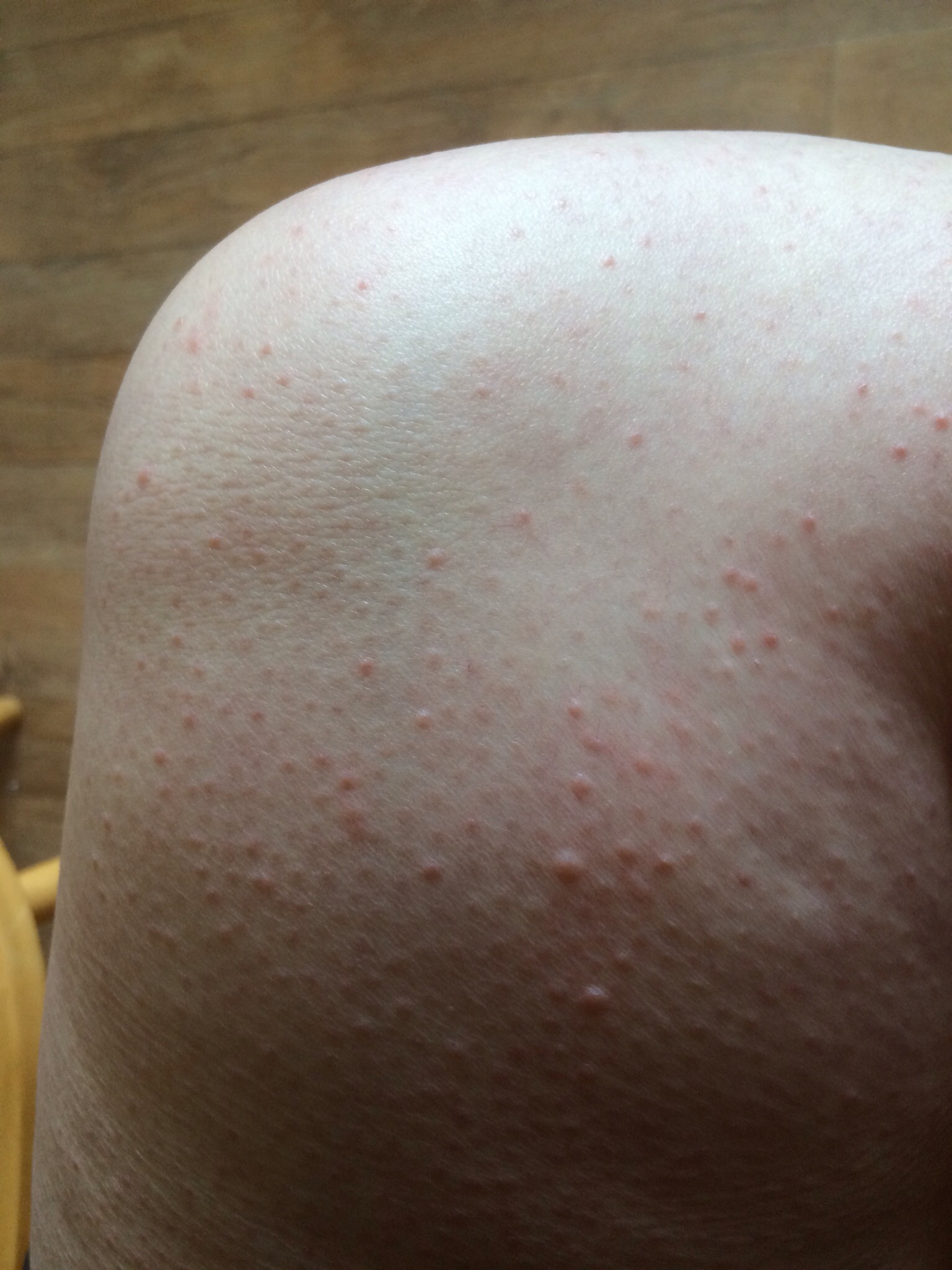 IMG_9054.JPG IMG_9054.JPG