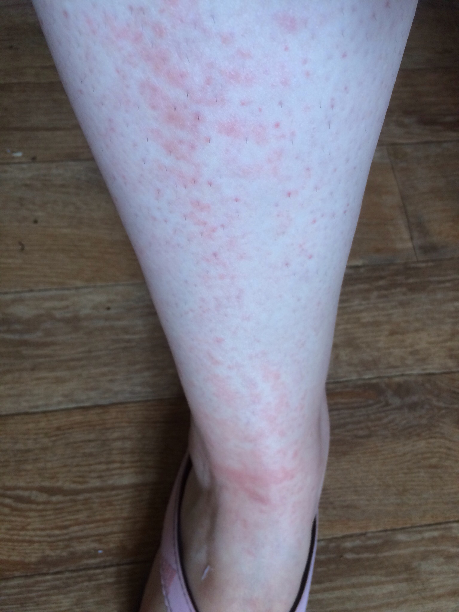 IMG_9055.JPG IMG_9055.JPG