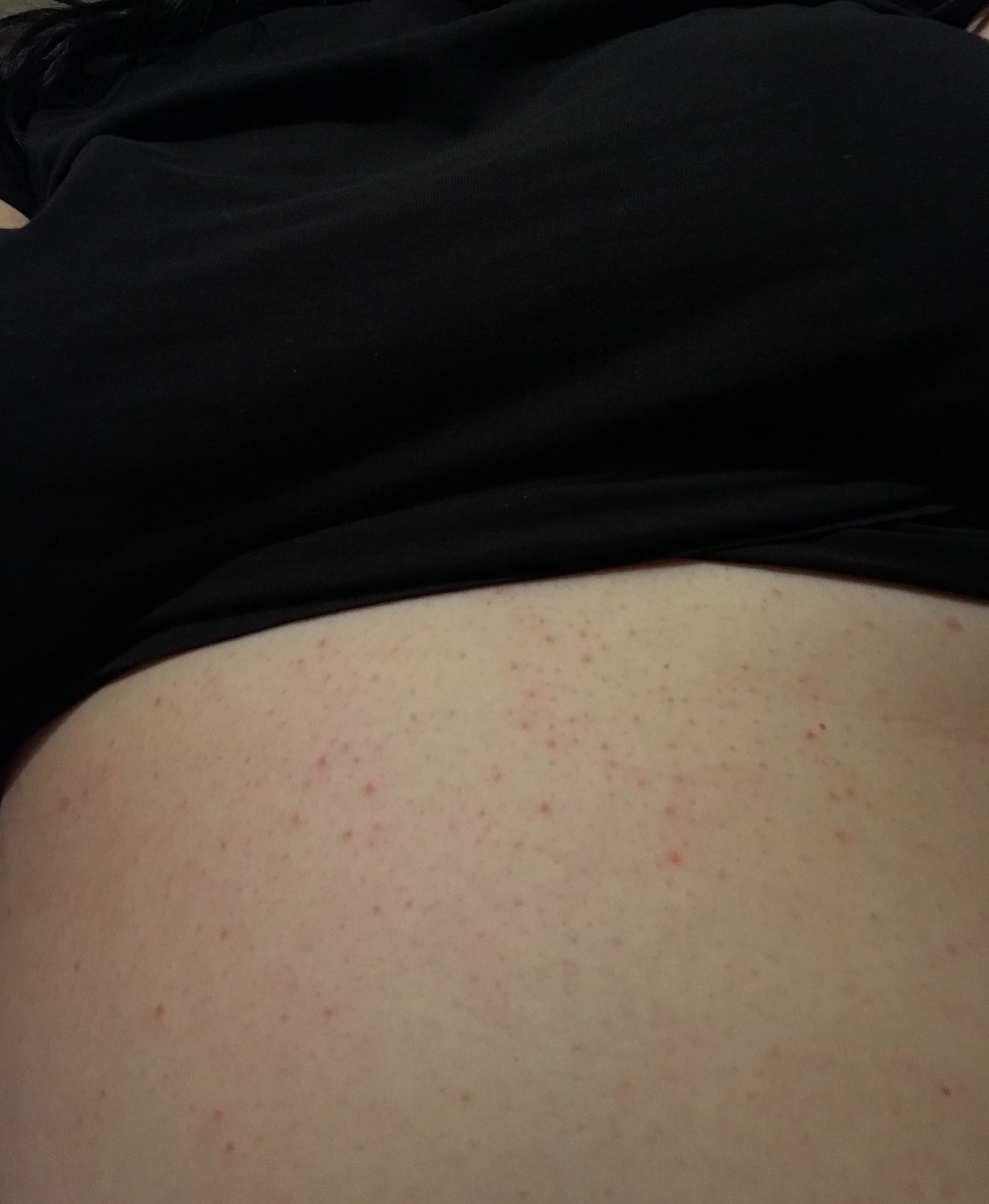 IMG_9063.JPG IMG_9063.JPG