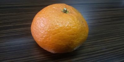 mandarina (2).jpg