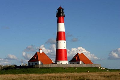 фар300819.jpg фар300819.jpg