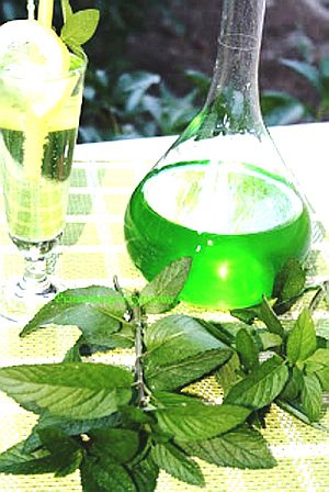 IMG_9174-2.jpg IMG_9174-2.jpg