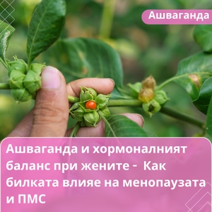 Ашваганда и хормоналният баланс при жените Как билката влияе на менопаузата и ПМС.jpg