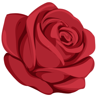 roza-rozova-voda (1).png