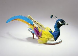 bird-shoes.jpg