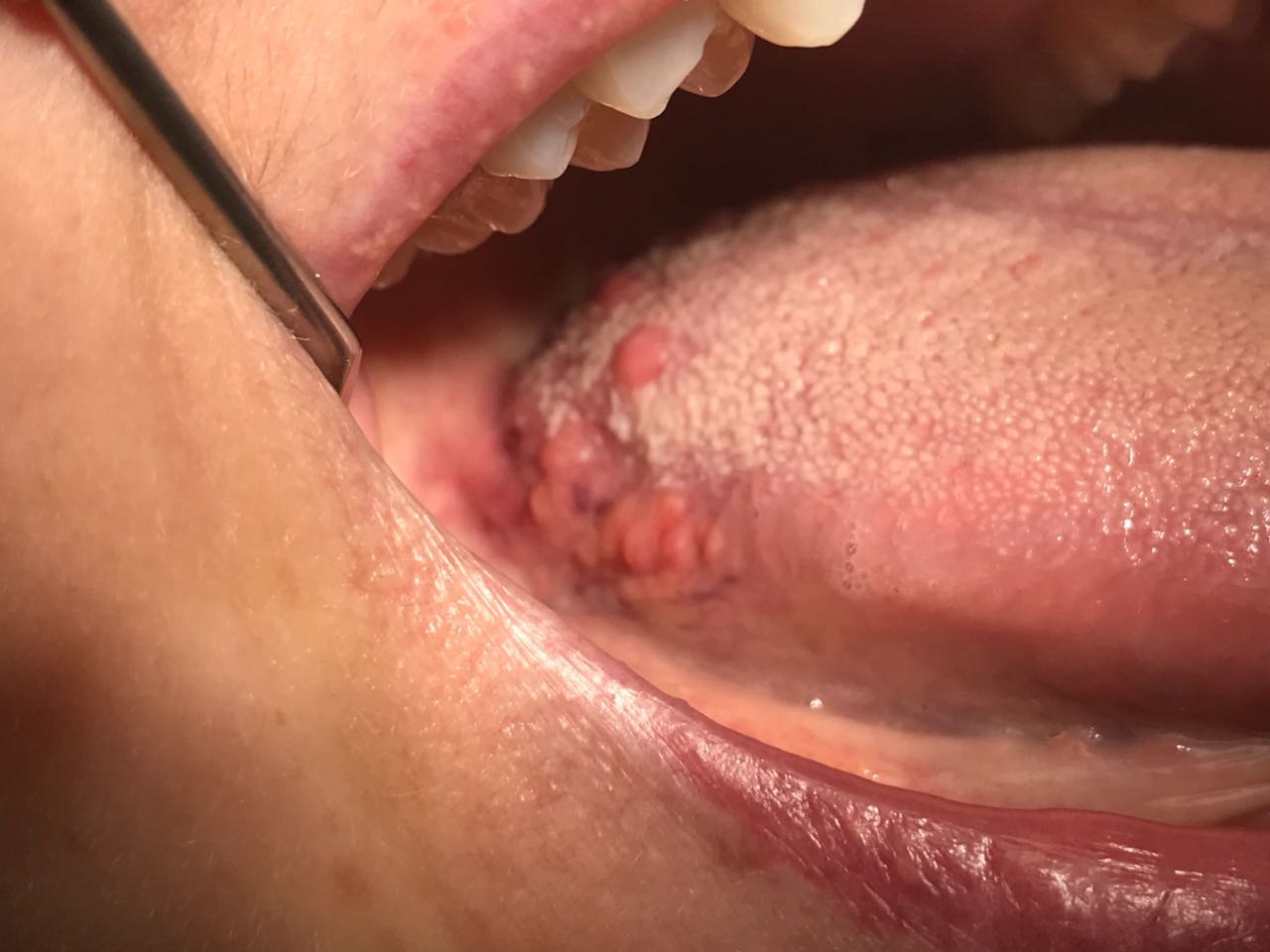 snmka 1 / IMG-20180503-WA0002.jpg IMG-20180503-WA0002.jpg